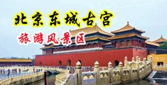 男生把鸡巴插入女生坤巴猛操中国北京-东城古宫旅游风景区